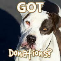 Fundraising Page: Elizabeth Brooks